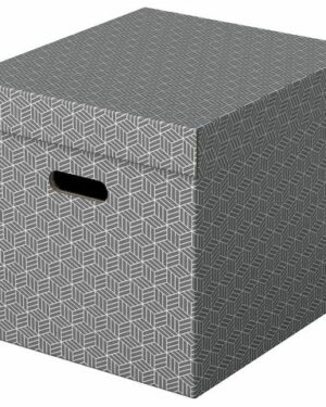 Förvaringsbox ESSELTE Home kub grå 3/fp