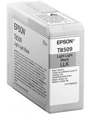 Bläckpatron EPSON T850900 l-l-svart