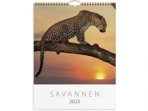 Väggkalender Savannen 2025