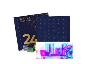 Julkalender  Wally Whiz