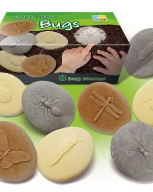 Undersök insekter av sten 8/fp